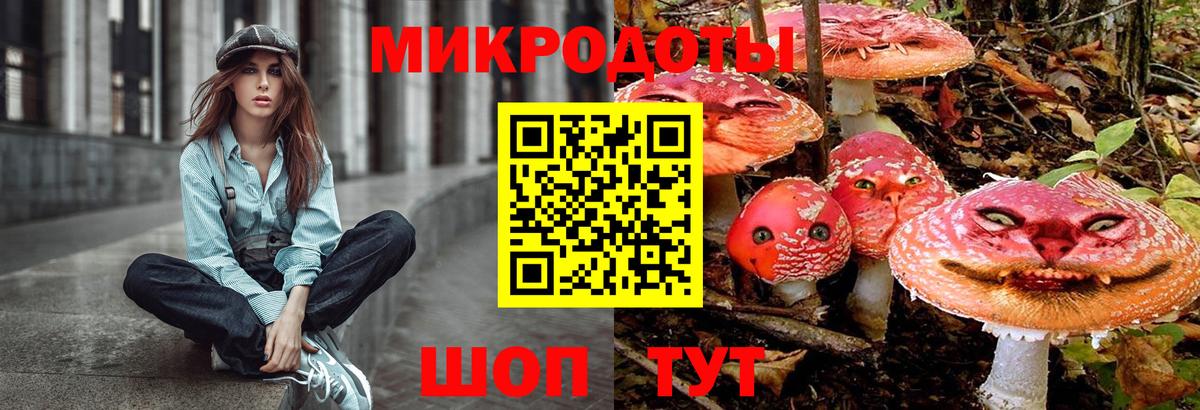Псилоцибиновые грибы MAGIC MUSHROOMS  Галлюциногенные грибы прущие грибы  где купить наркоту  Энгельс  Вход с VPN 