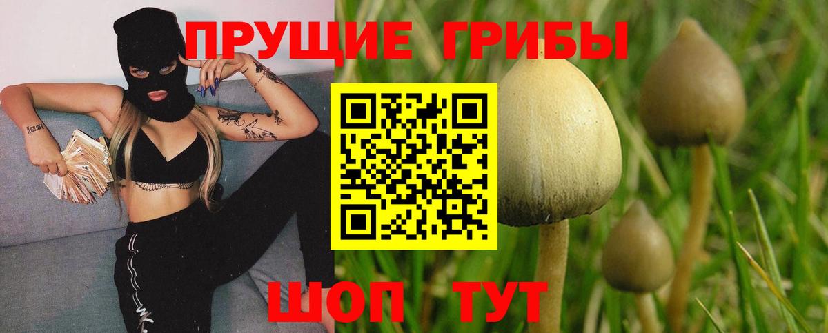 Галлюциногенные грибы прущие грибы Энгельс